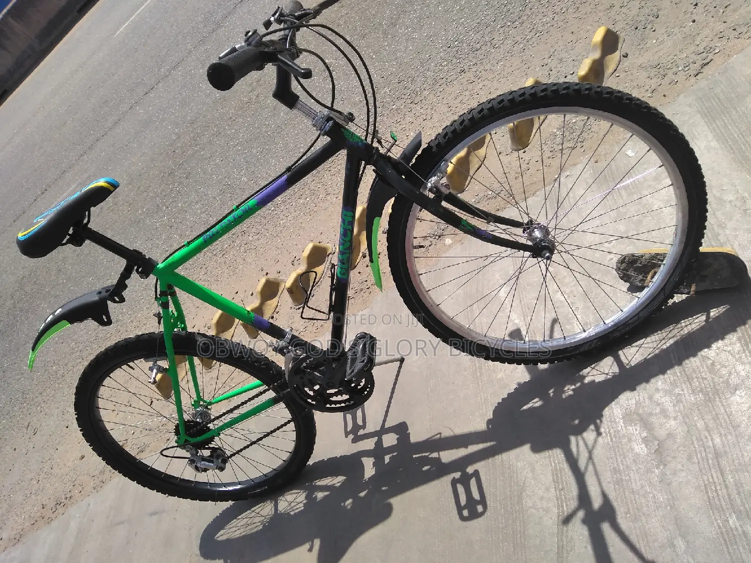 Mountain Multi Colour Bike