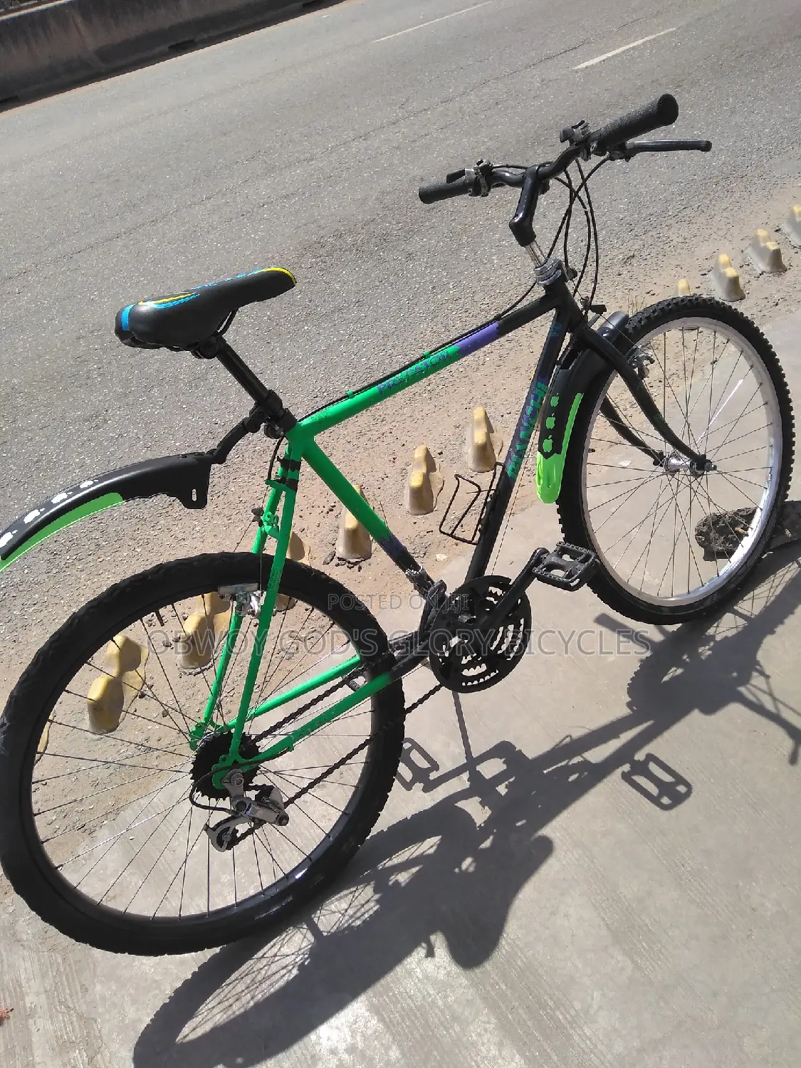 Mountain Multi Colour Bike