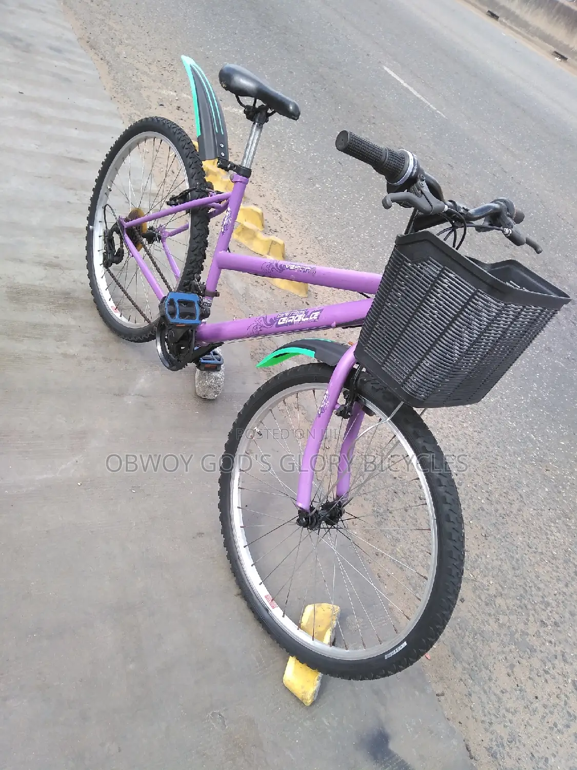 Ladies Basket Nice Bike