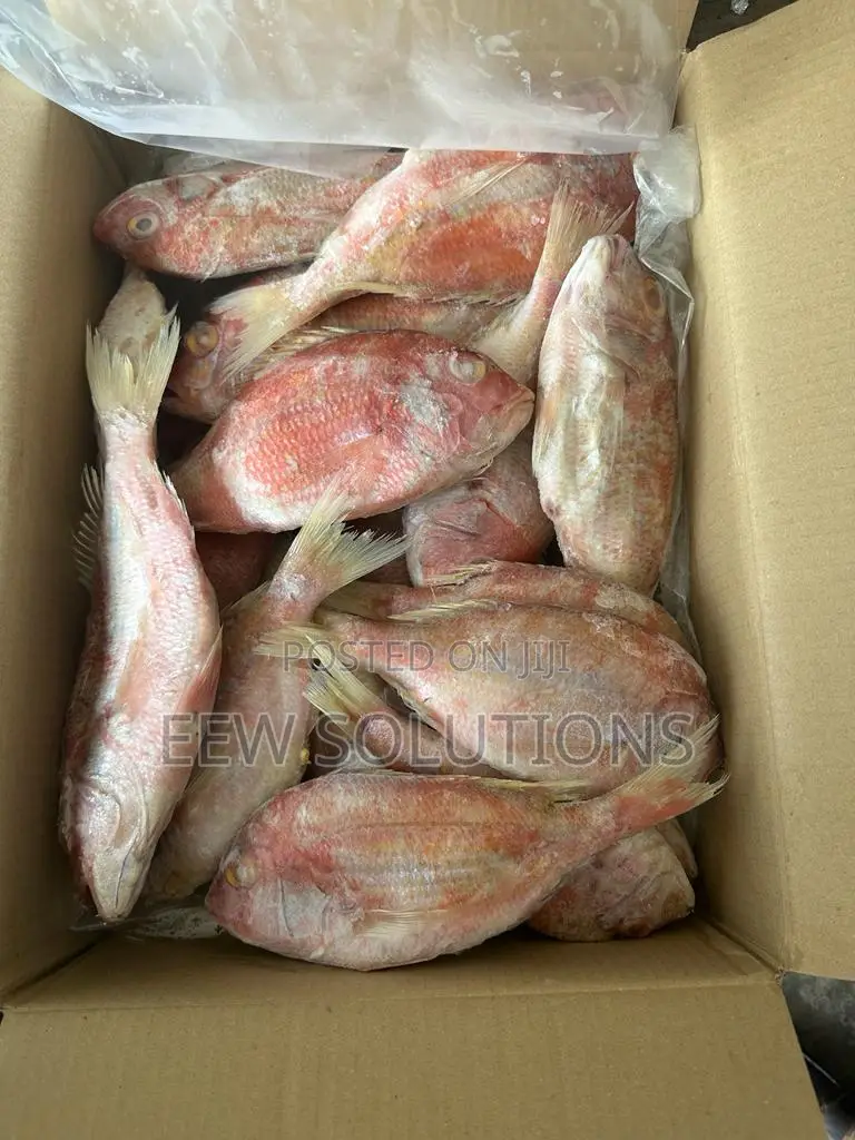 Red Fish (Frozen)