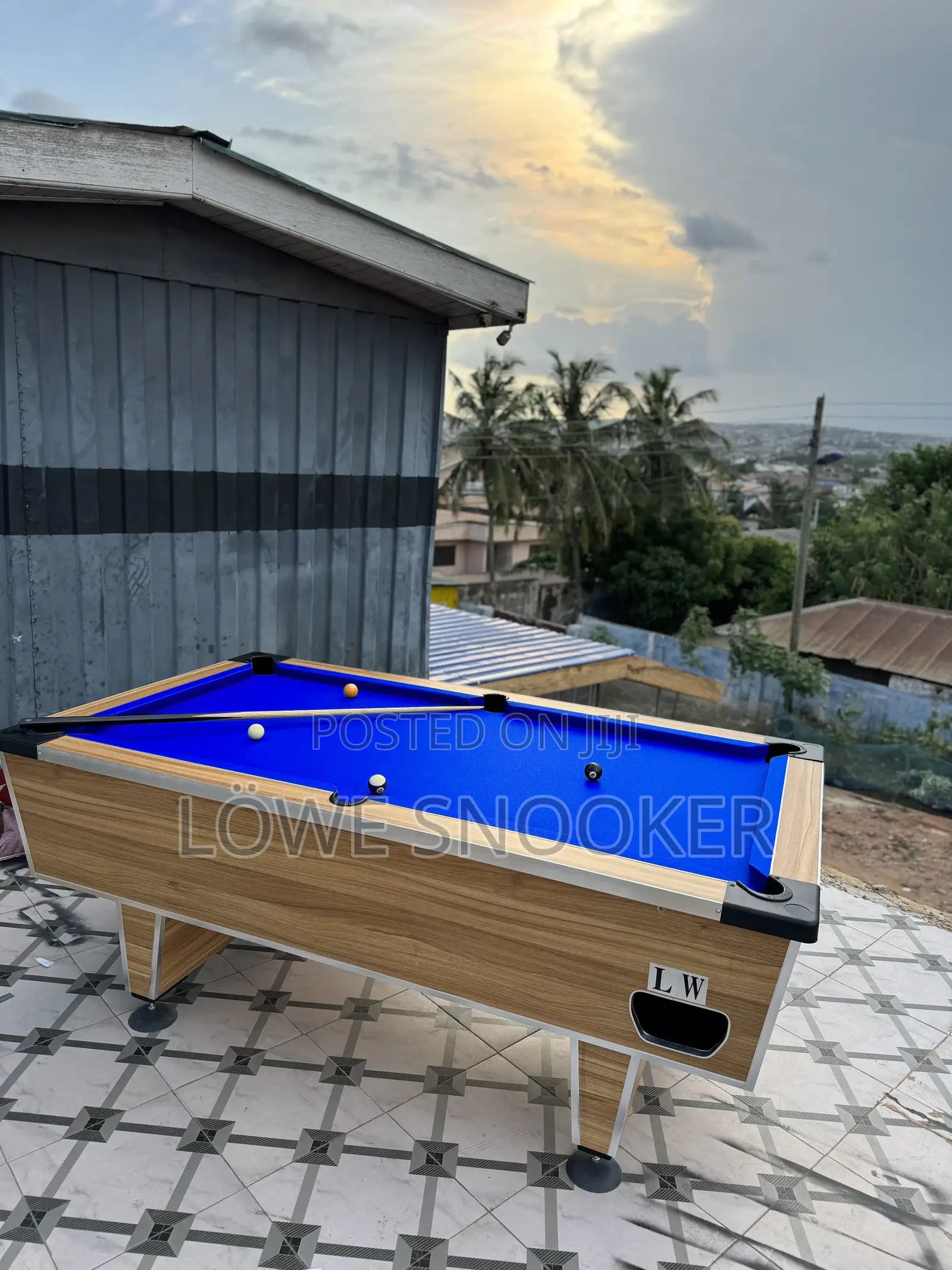 Standard Pool Table From Lw Industries From Germany