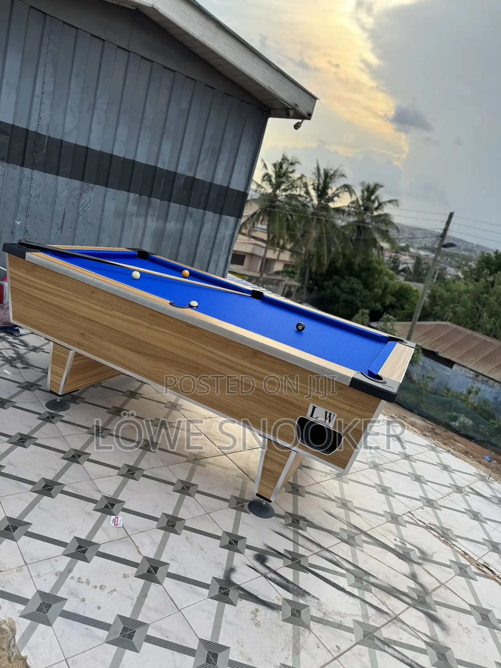 Standard Pool Table From Lw Industries From Germany