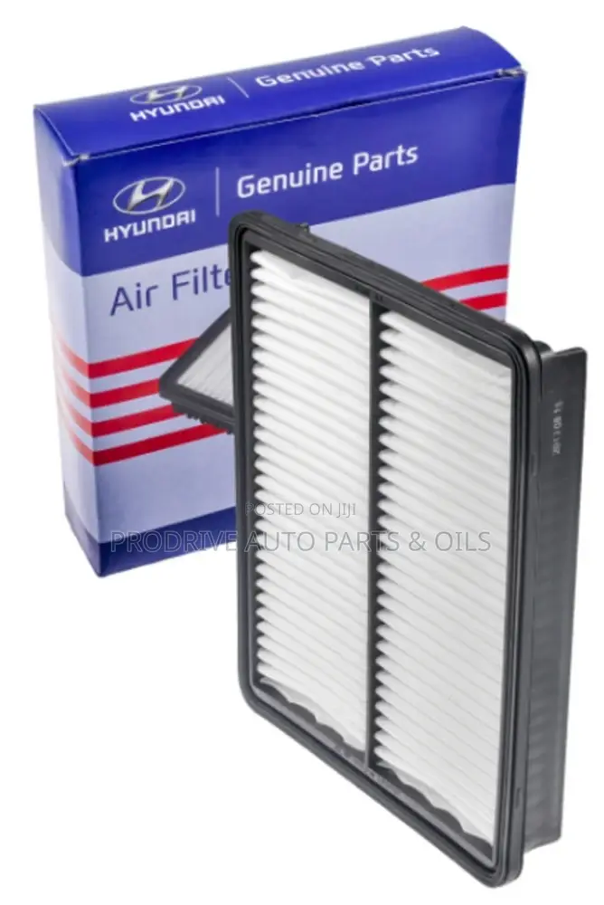 Hyundai Air Filter - Azera Sonata Santa Fe (28113-2p100)