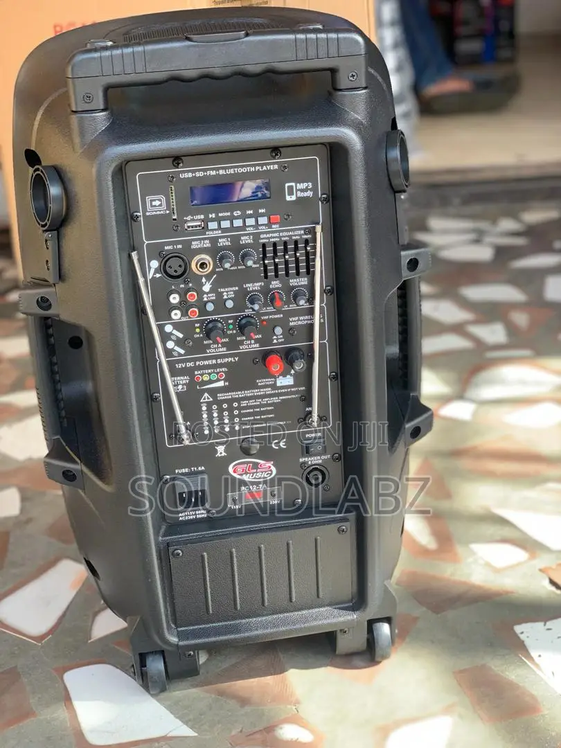 GLS 12inches Bluetooth Speaker With Two Microphones Stand