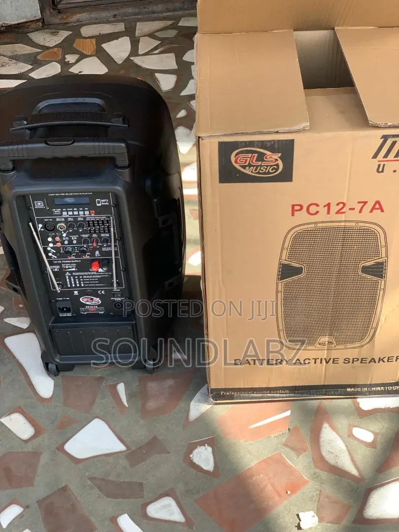 GLS 12inches Bluetooth Speaker With Two Microphones Stand