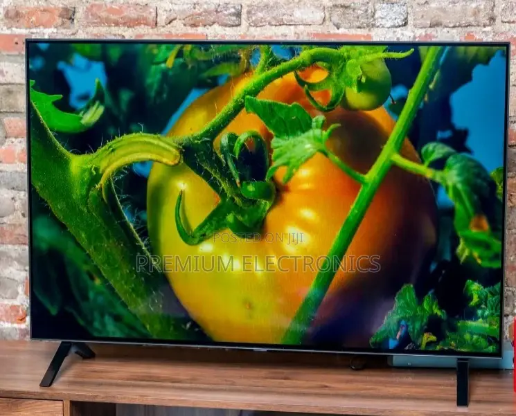 A Dazzling Display OLED Technology, LG 55" Webos, Thinq AI