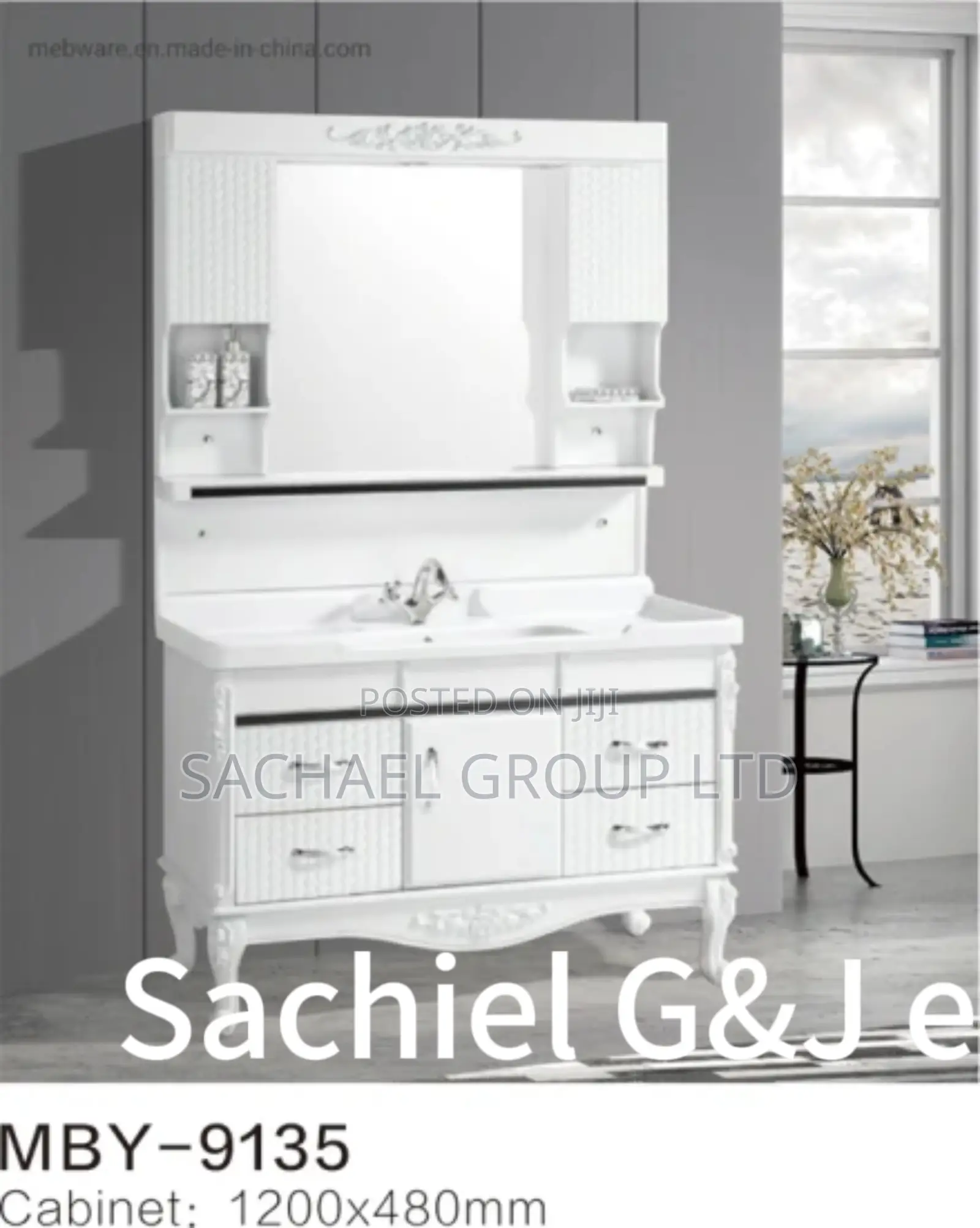 Standing Washroom Cabinets Mirror 80cm