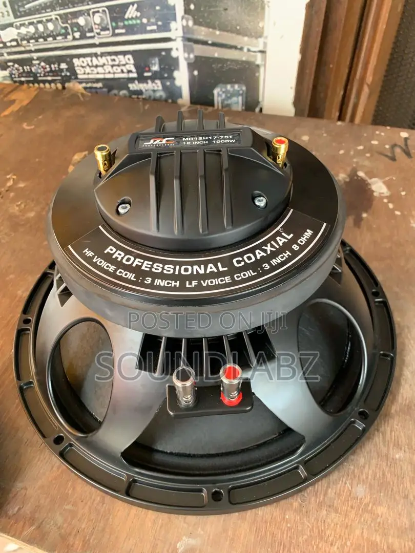 12inches 1000watt JAC Naked Speaker With Tutor
