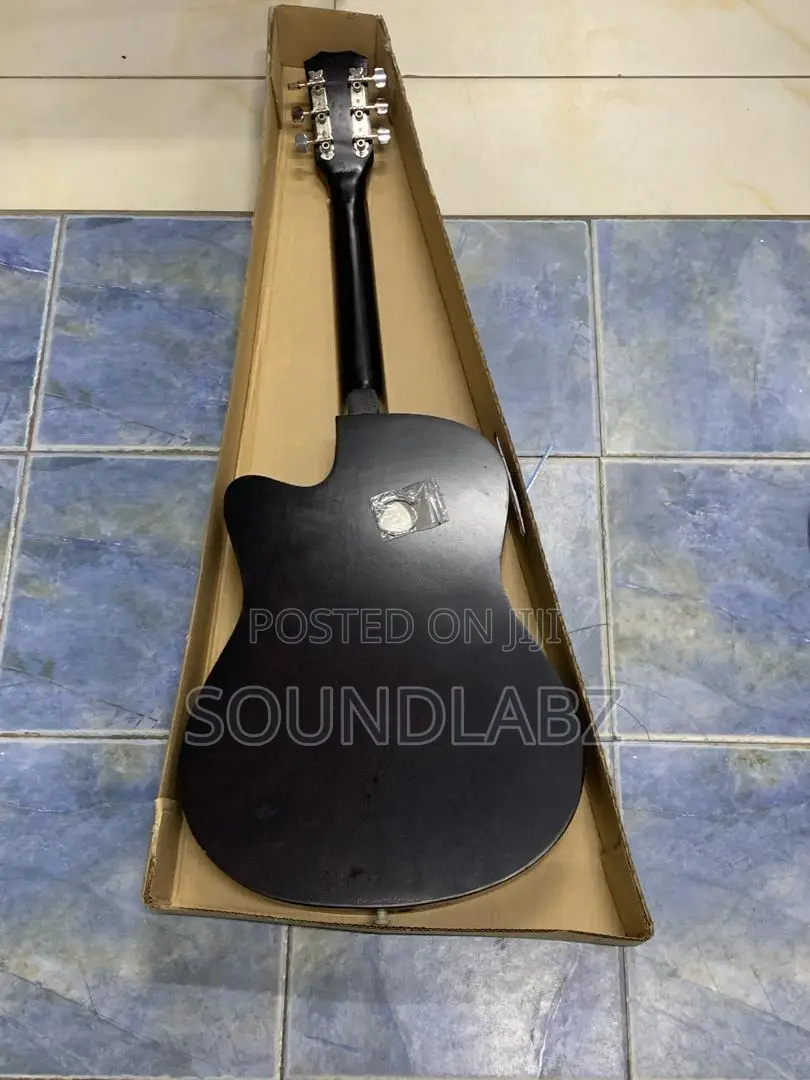 Professional Acoustic Guitar