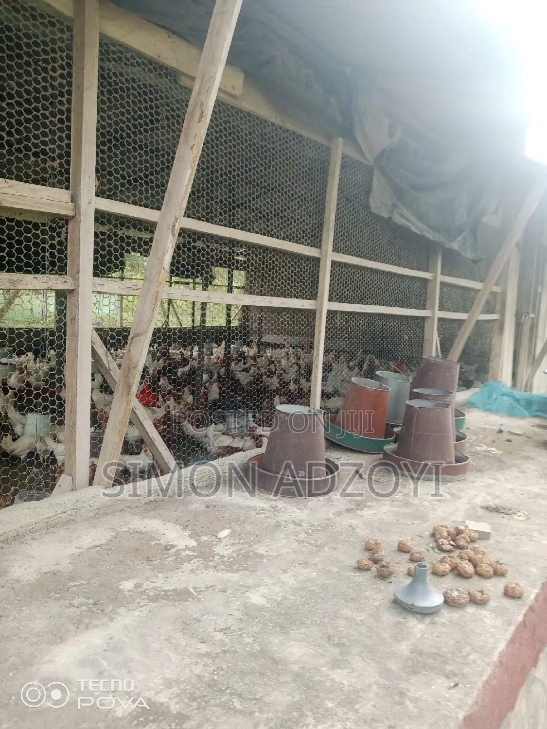 9 Plot Of Land And Poultry Farm For Sale
