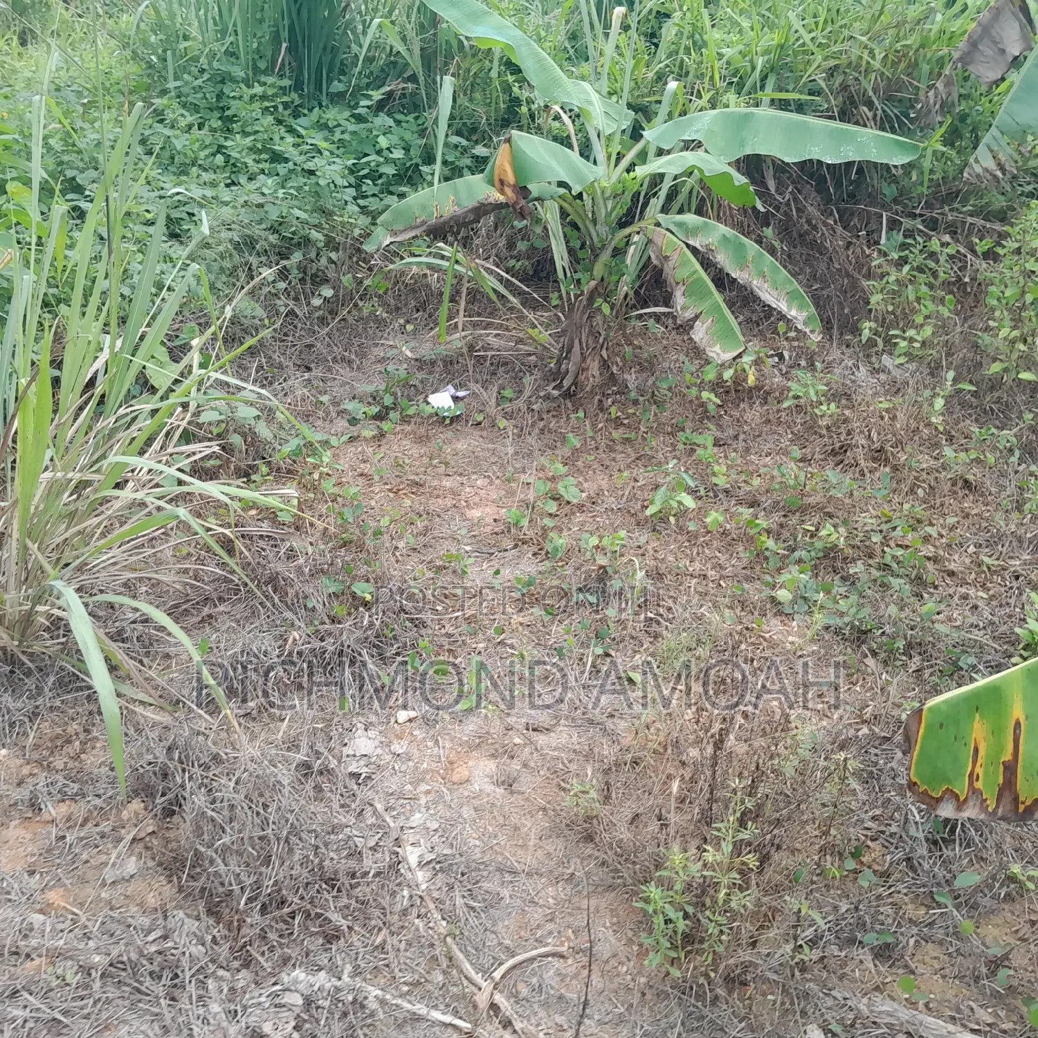 Plot for Sale at Essipon