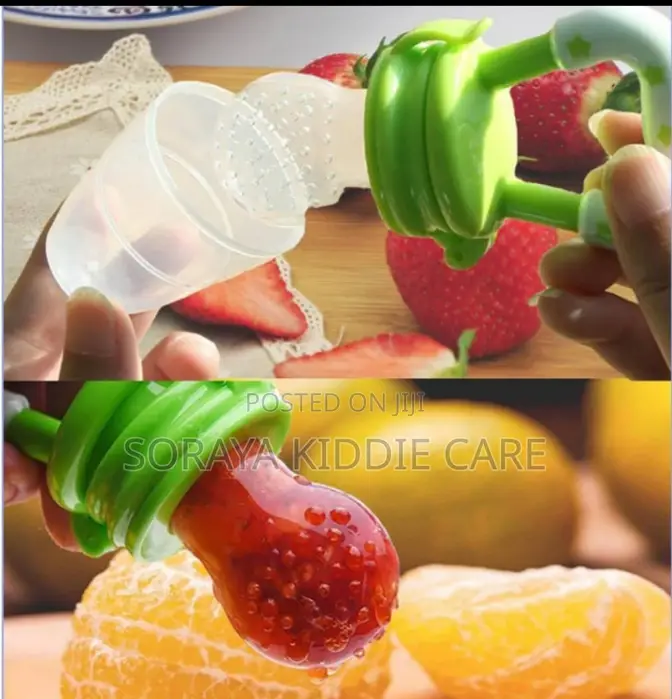 Baby Fruit Feeder