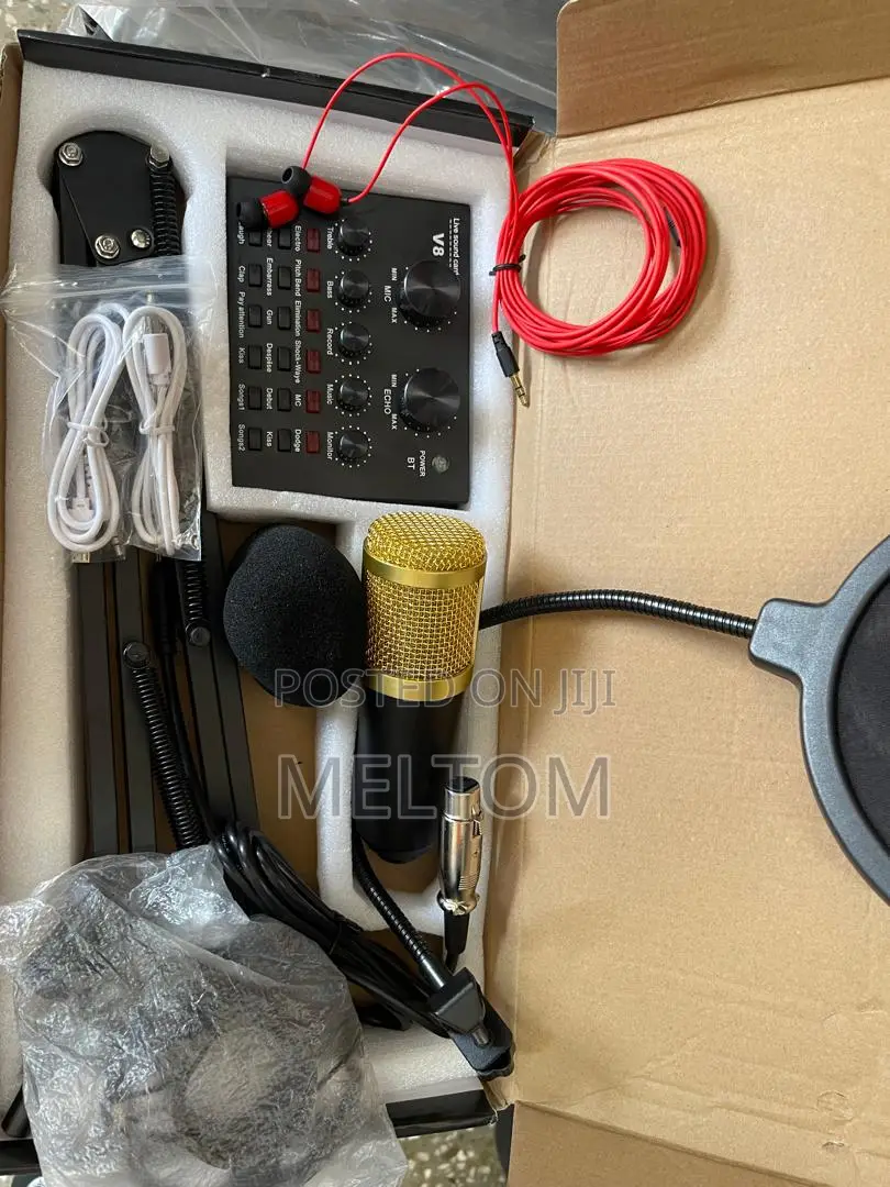 Legendary V8 Studio Condenser Microphone With Live Soundcard