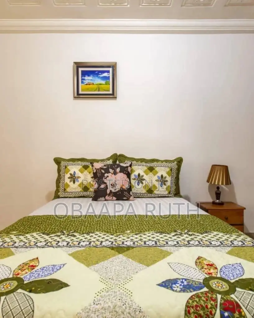 Furnished 2bdrm Apartment in Adjiriganor for rent