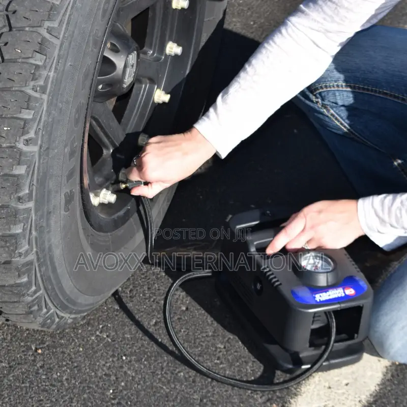The Campbell Hausfeld 120-Volt Inflator (RP410099AV)