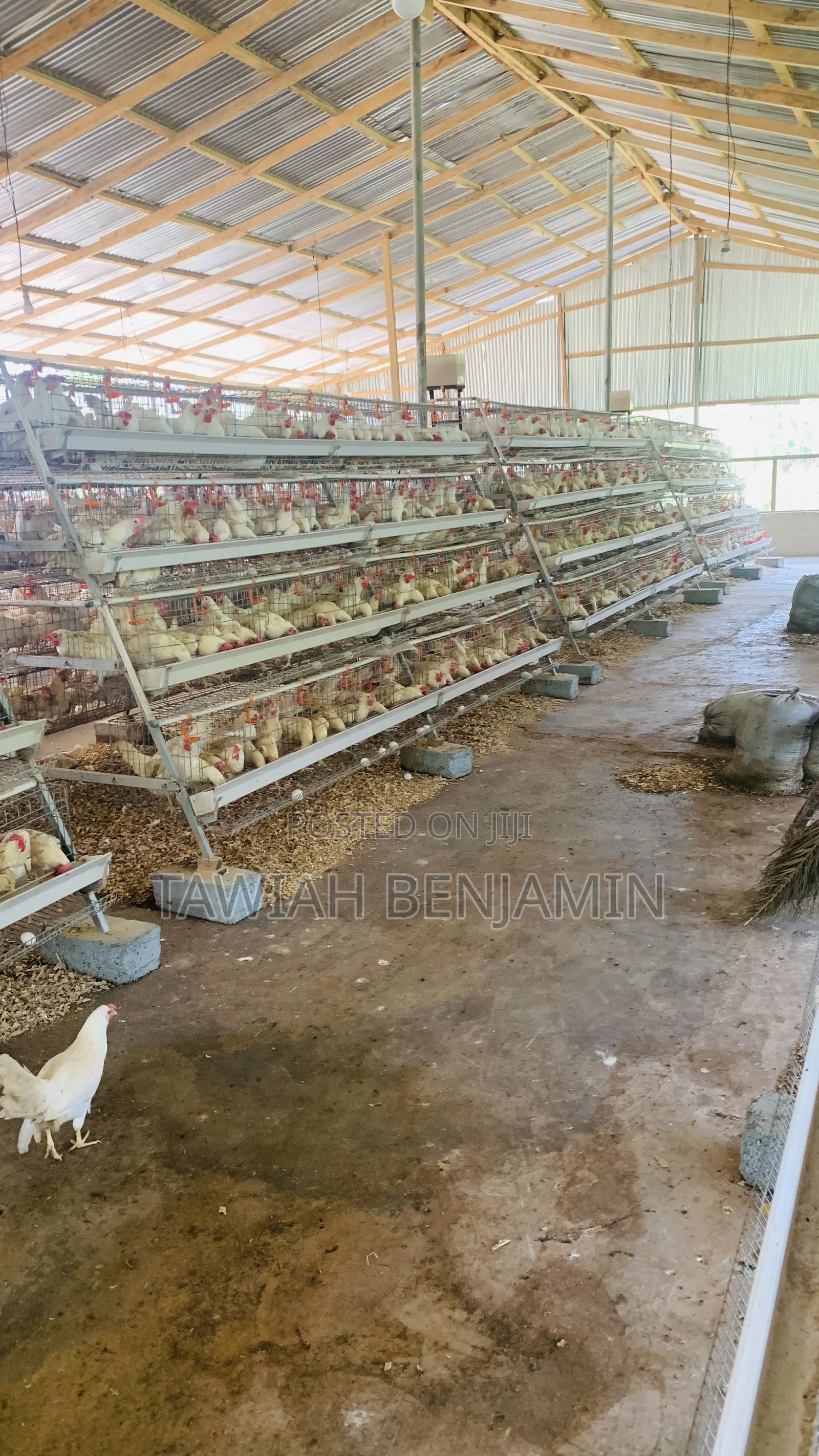 Battery Cage