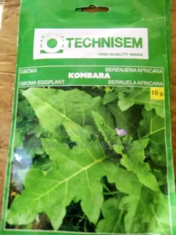 Gboma/ African Eggplant Seeds