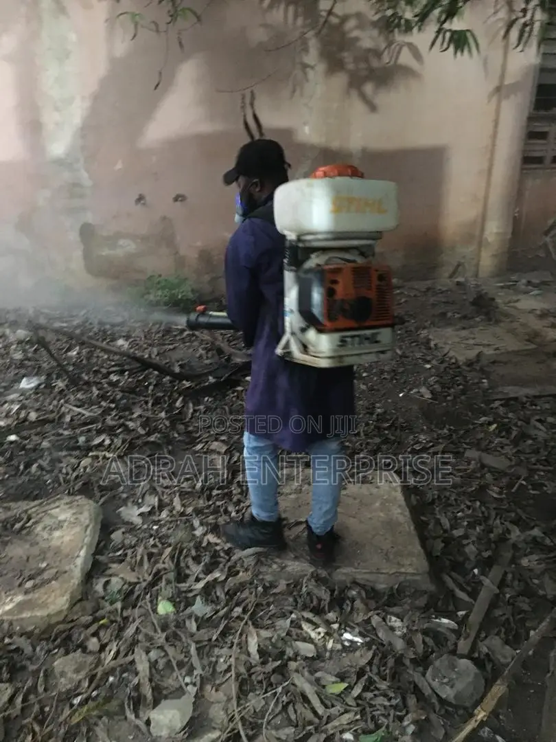 Bedbugs Professional Fumigation Service