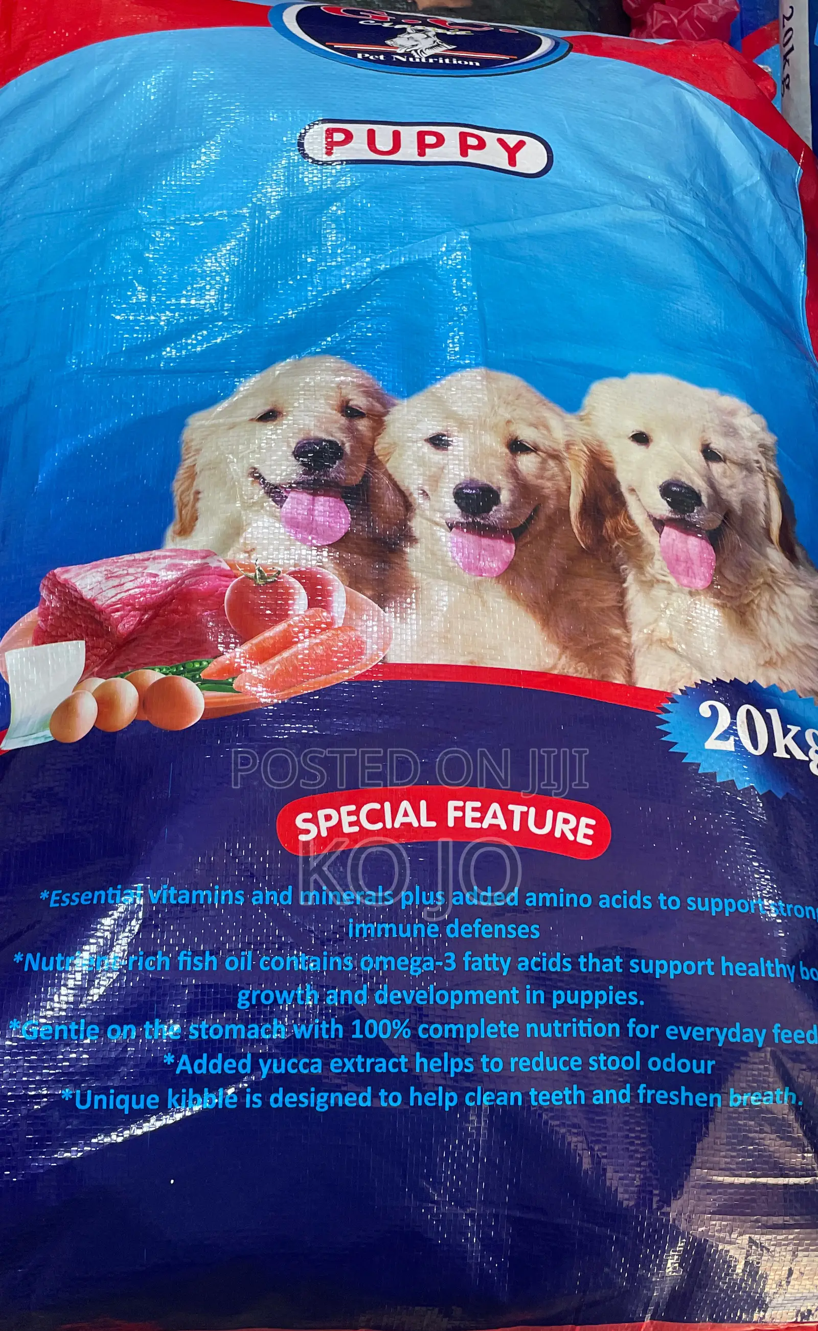 Gc Classic Puppy