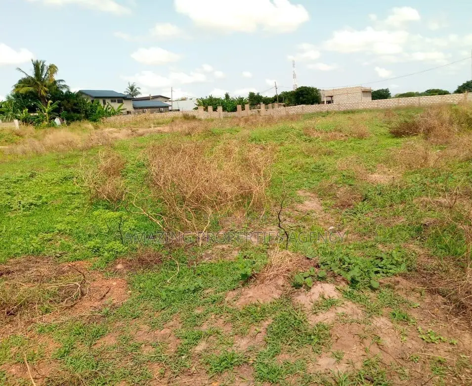 110 X120 Ft Plot of Land for Sale at Roman Ridge