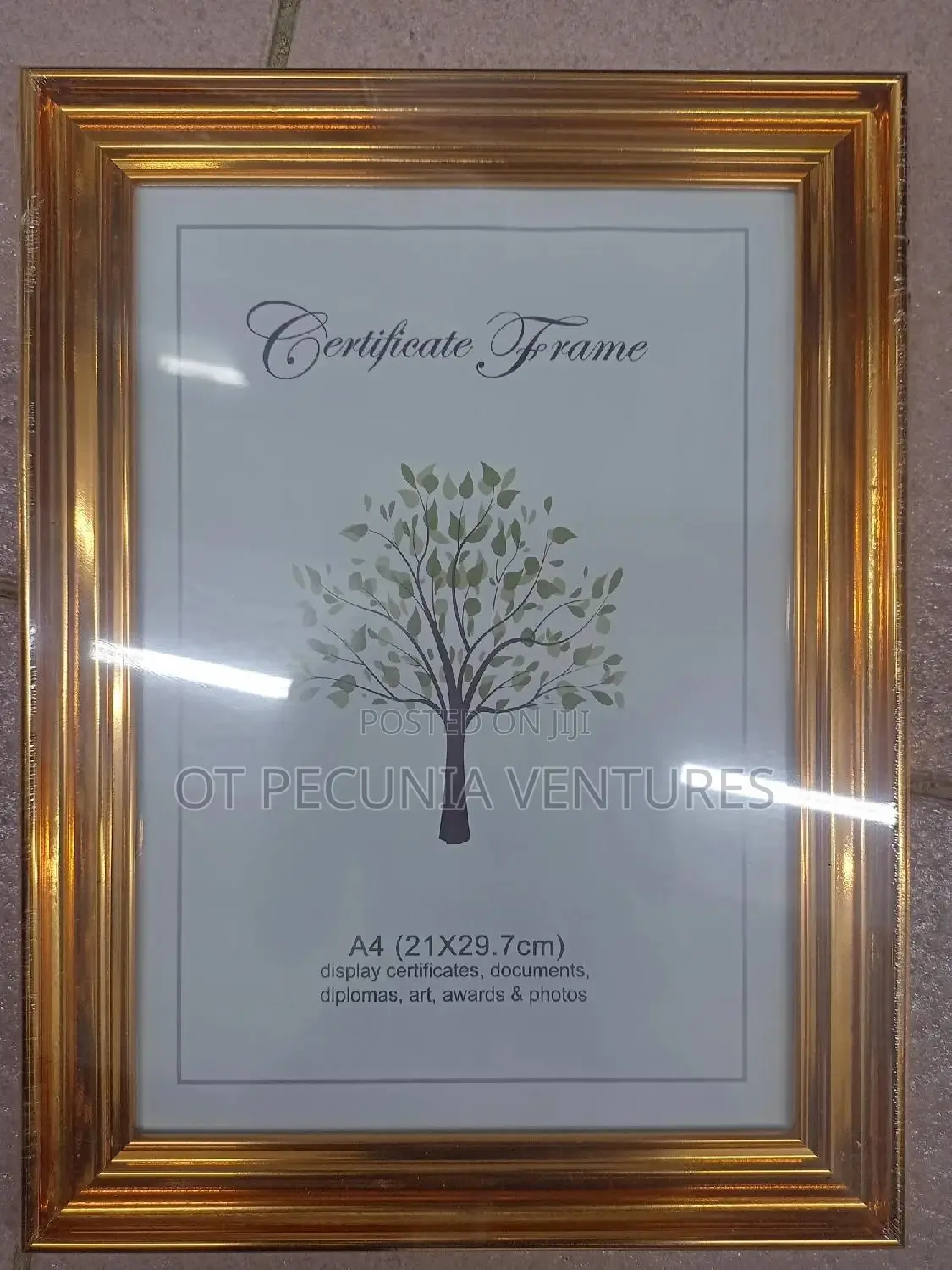 A4 Picture Frames - Stylish Frame
