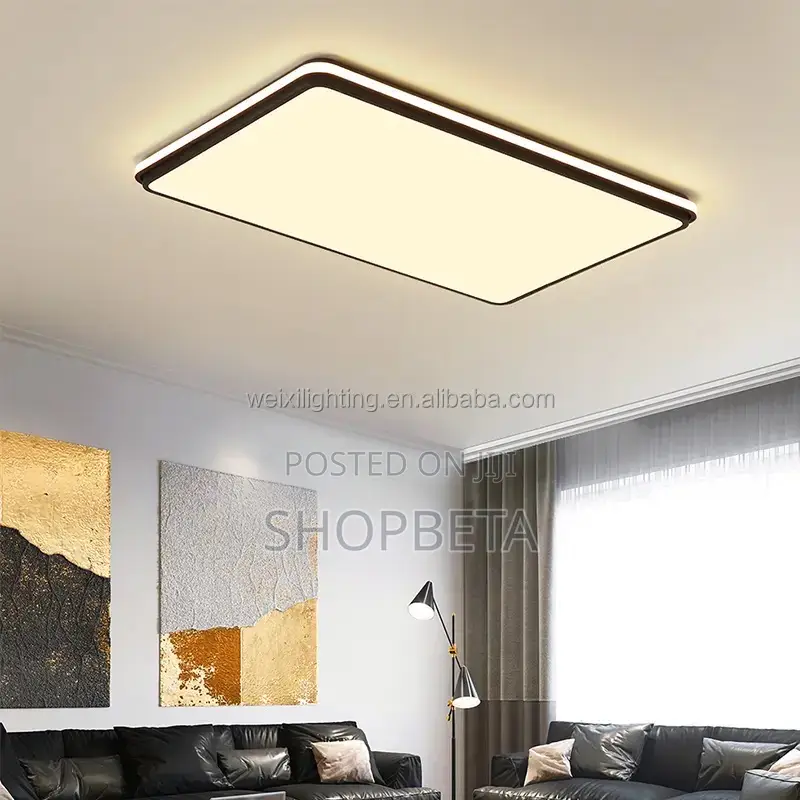 2024 Modern Hall Light
