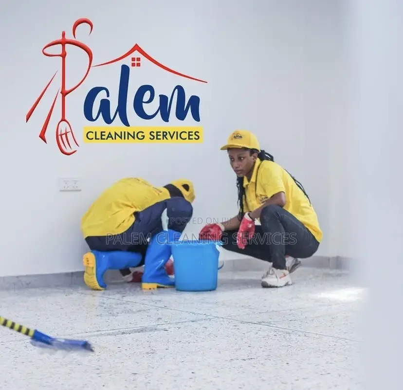 A Professional Cleaners