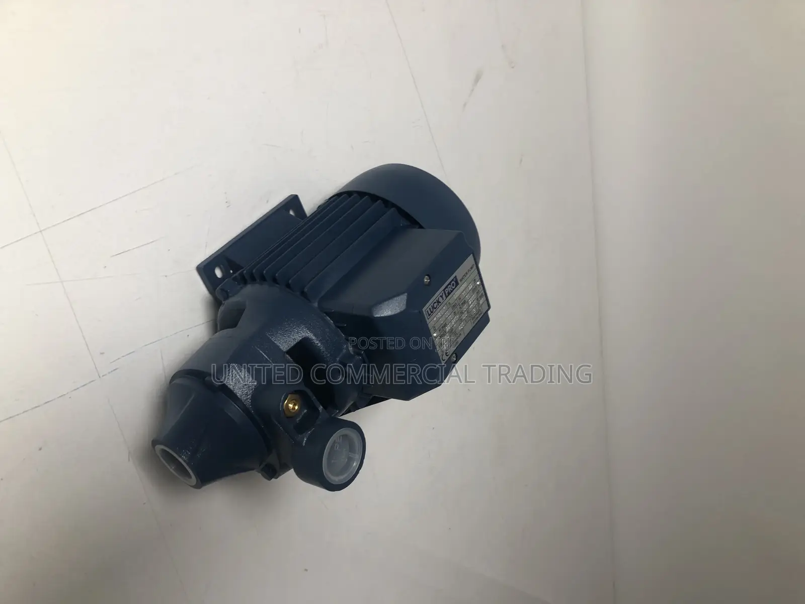 Water Pump (Lucky Pro MKP100)