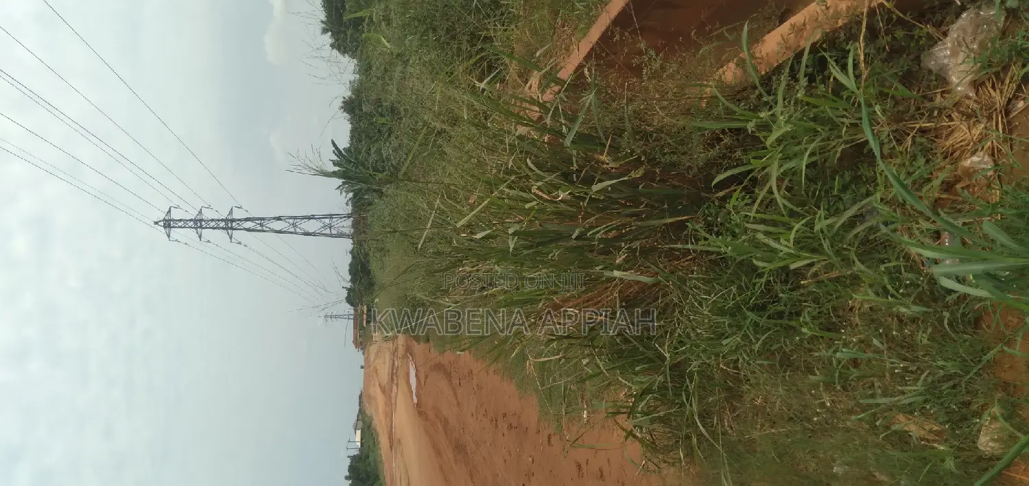 One Archer Plot of Land at Abrankese Areas