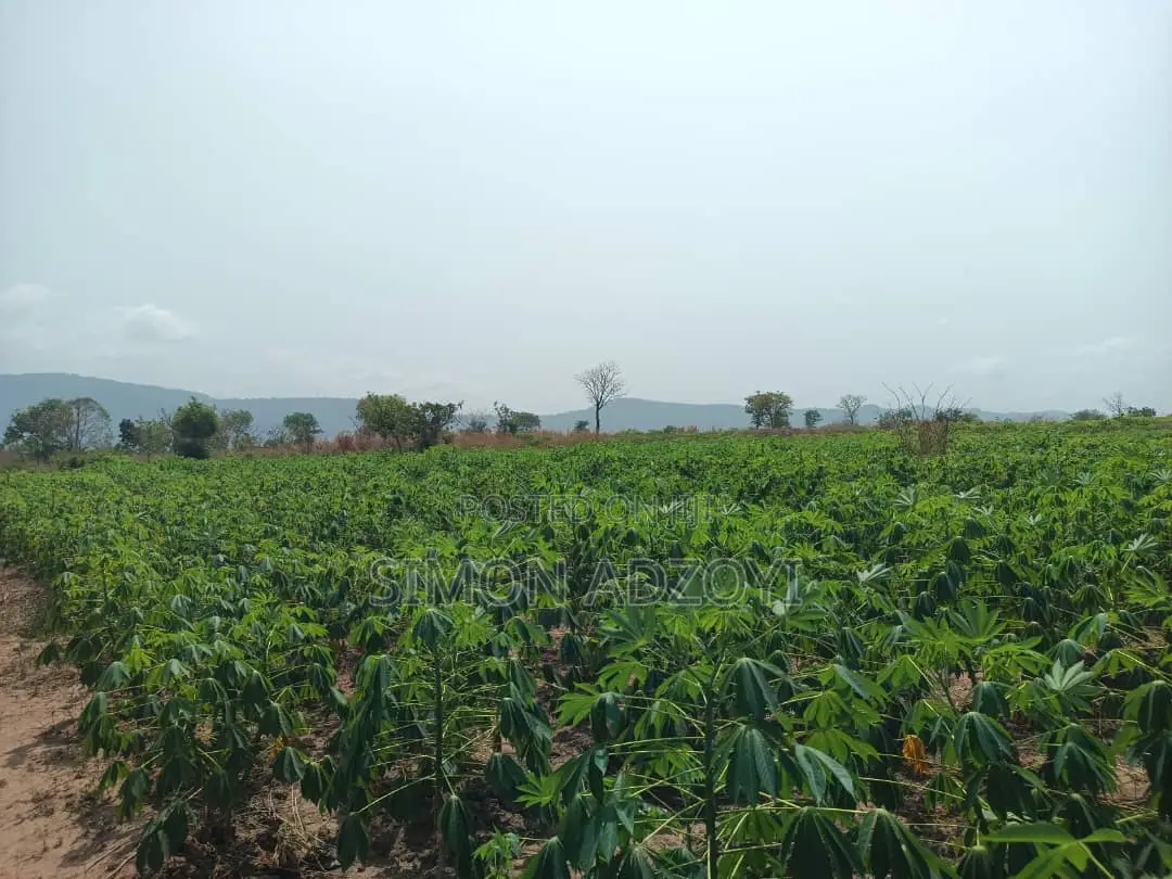 100,000 Acres of Farm Land for Sale or Lease