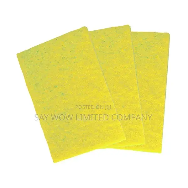 Ramon Standard Grade Scouring Pad ( 1 X 10)