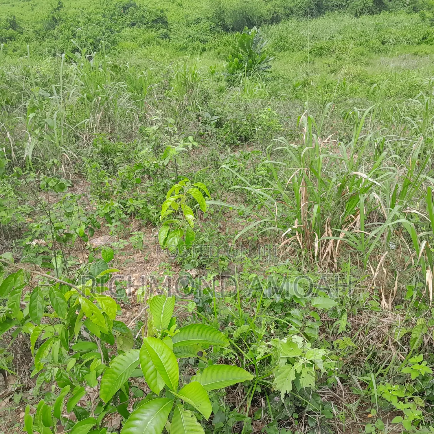 Plot for Sale at Kansa City
