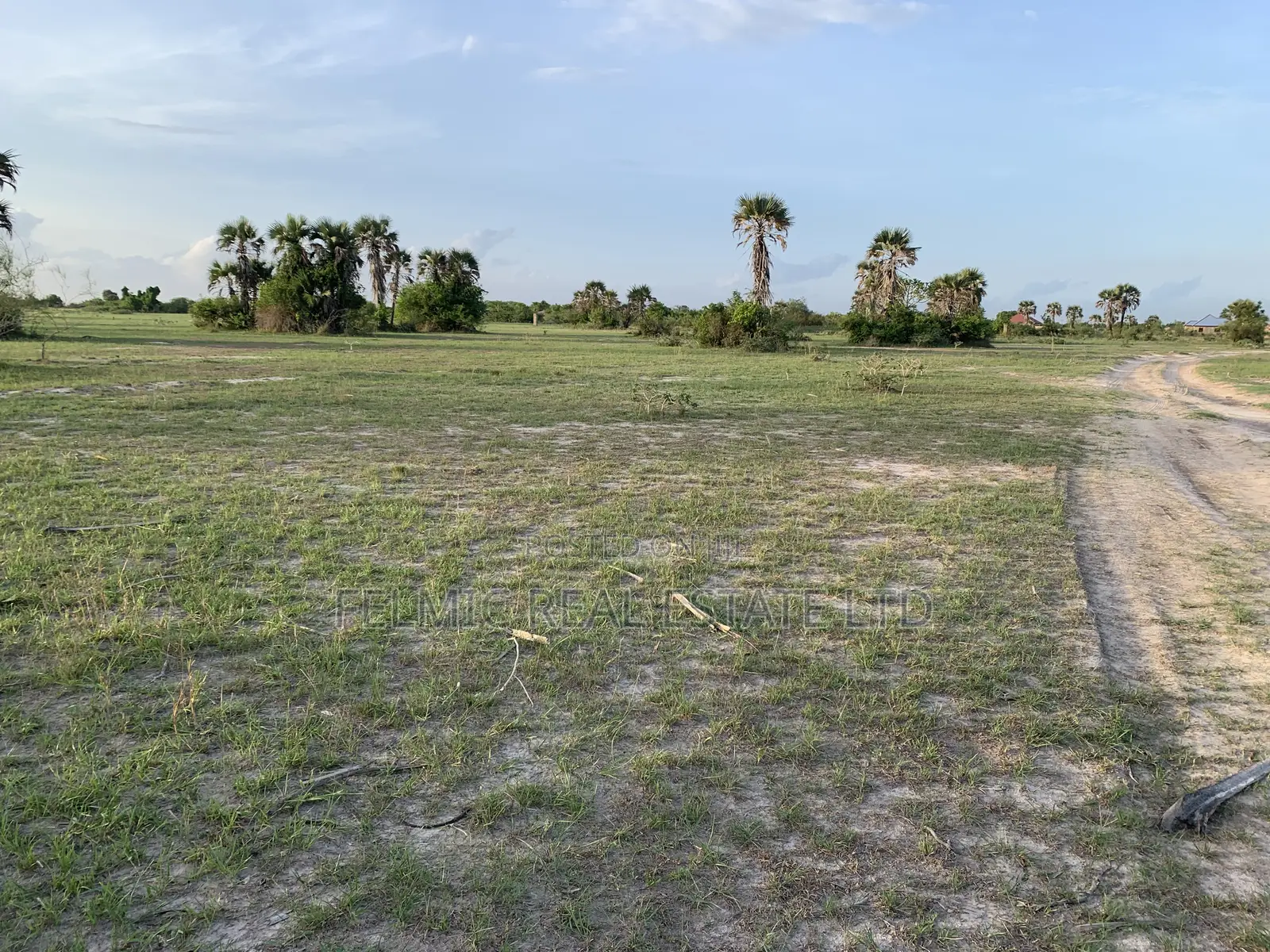 Plots of Land at Tsopoli for Sale