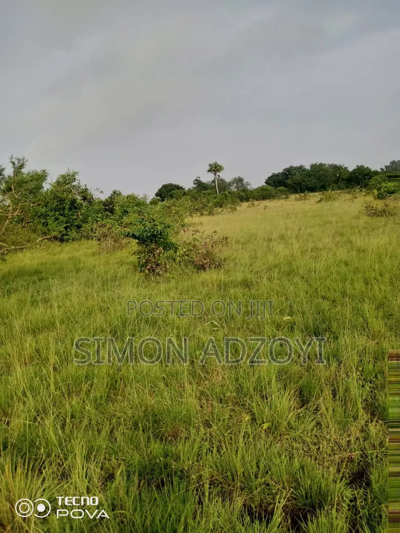 130,000 Acres of Farm Land for Sale or Lease