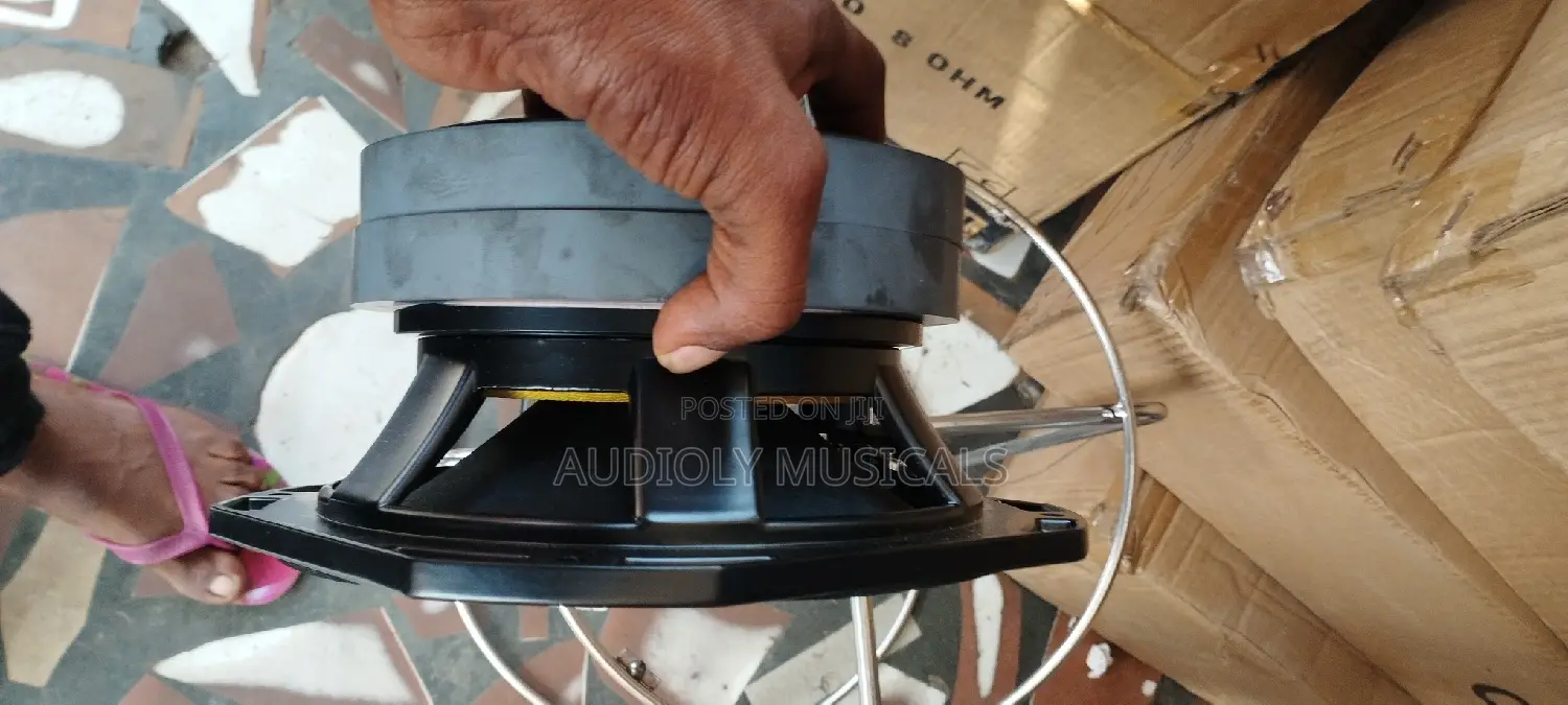EV 10inches Line Array Speakers