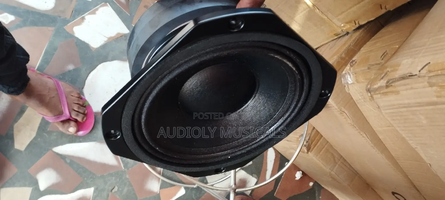 EV 10inches Line Array Speakers