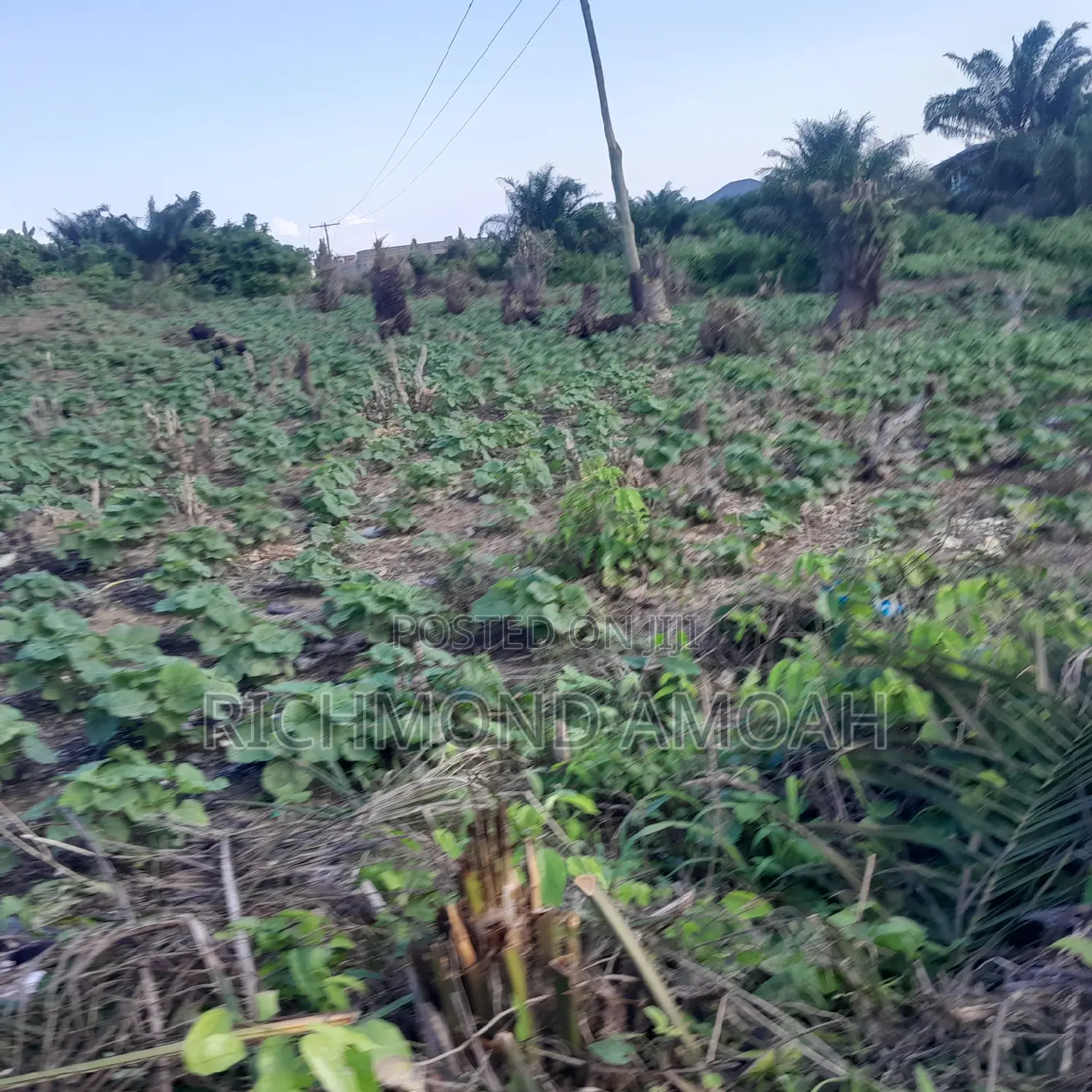 Full Plot for Sale at Apowa Skylimit Road