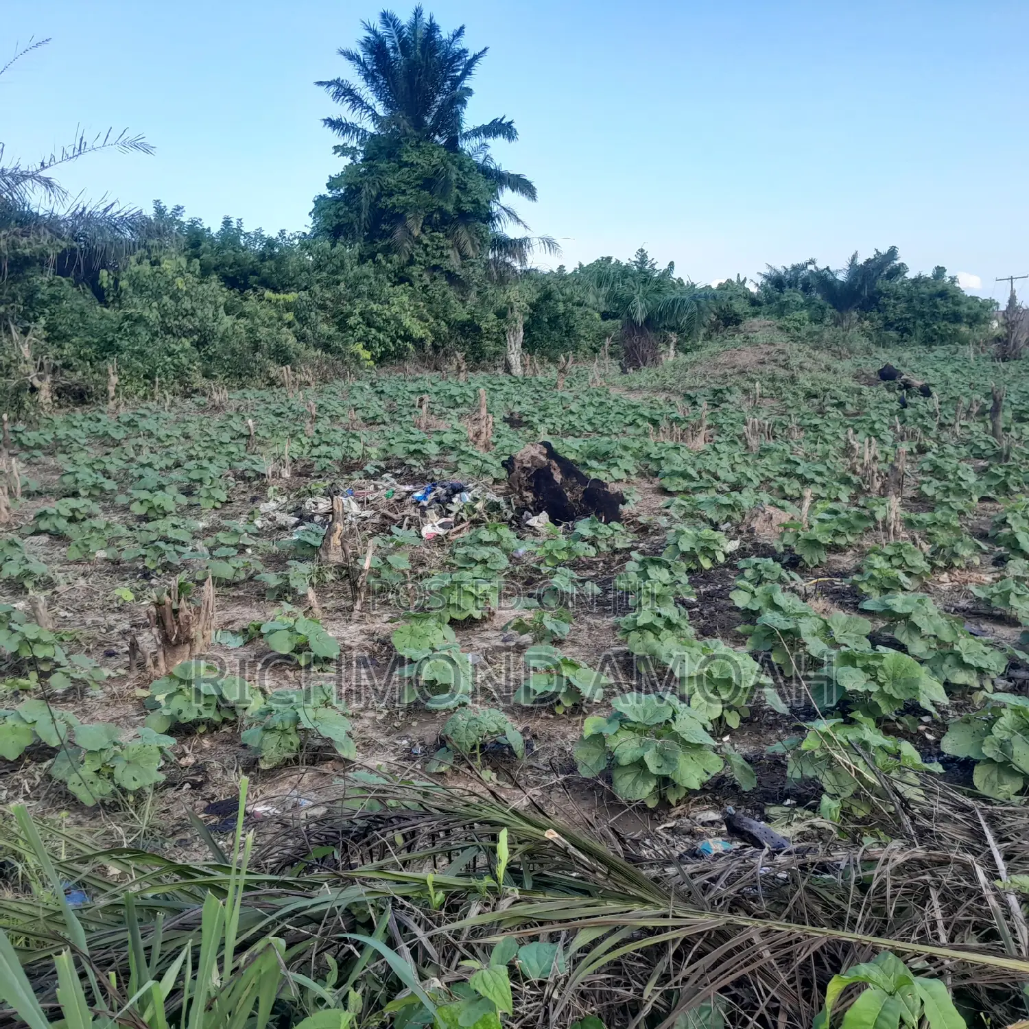 Full Plot for Sale at Apowa Skylimit Road