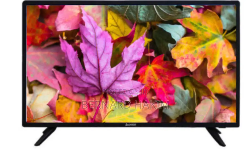 Chigo 43” Digital Satellite Tv