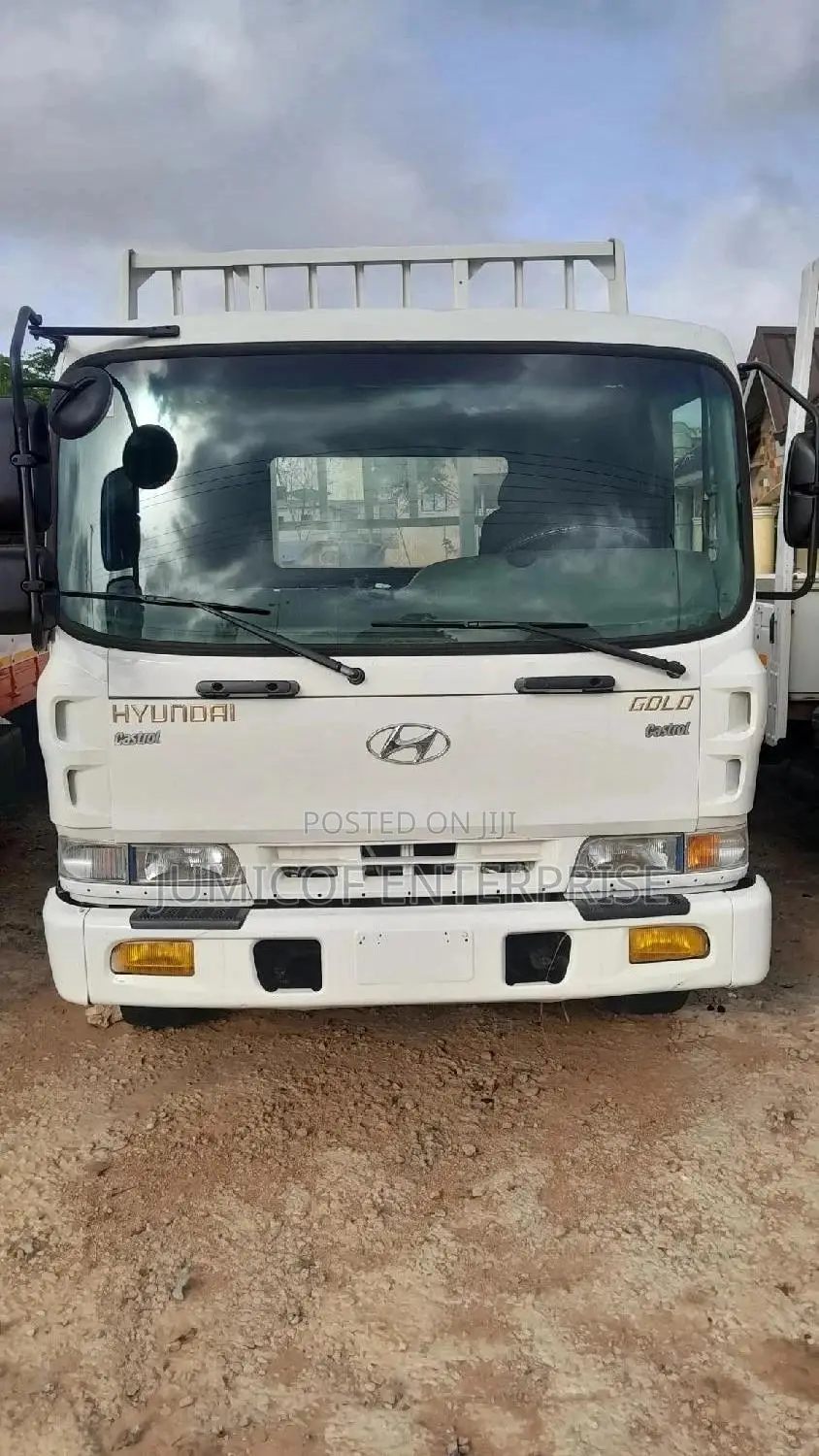 Hyundai 5 Ton 2013
