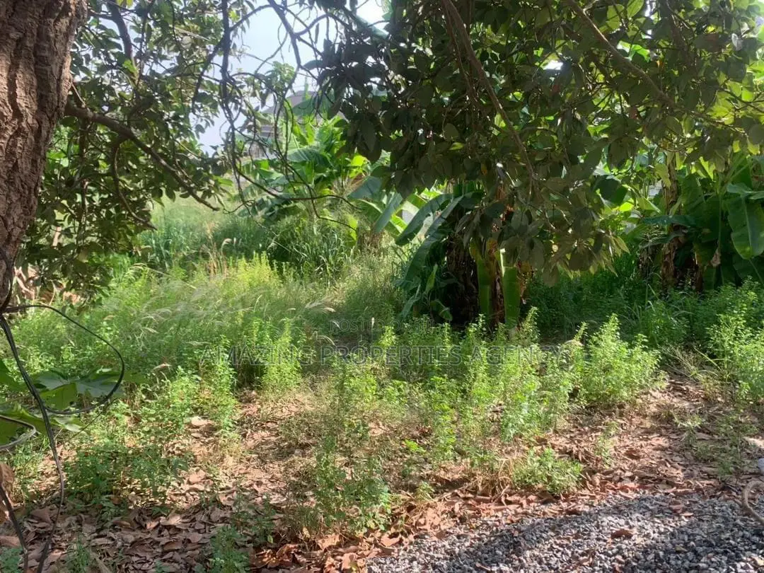 5 Plots of Land at Berekusu