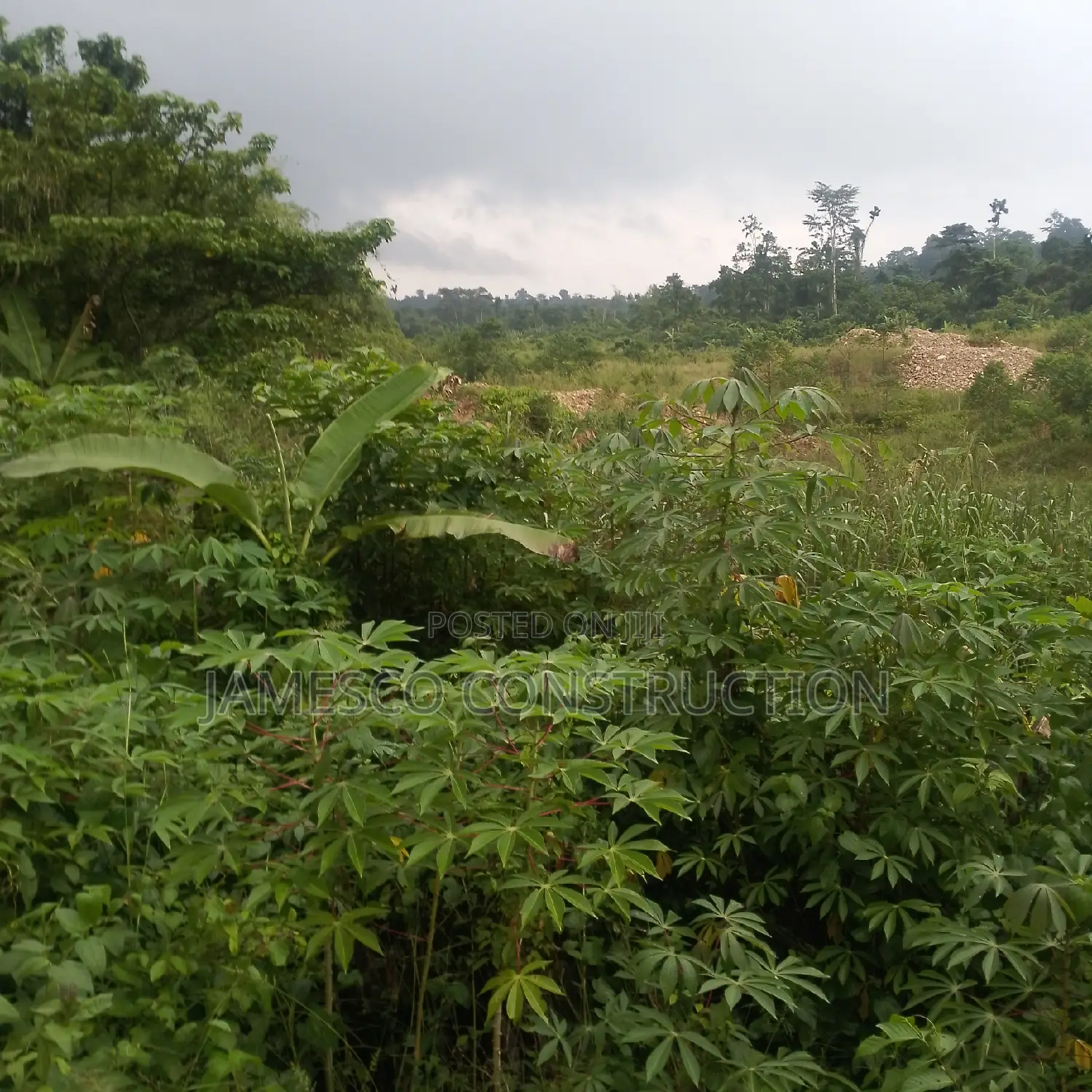 Gold Land for Sale