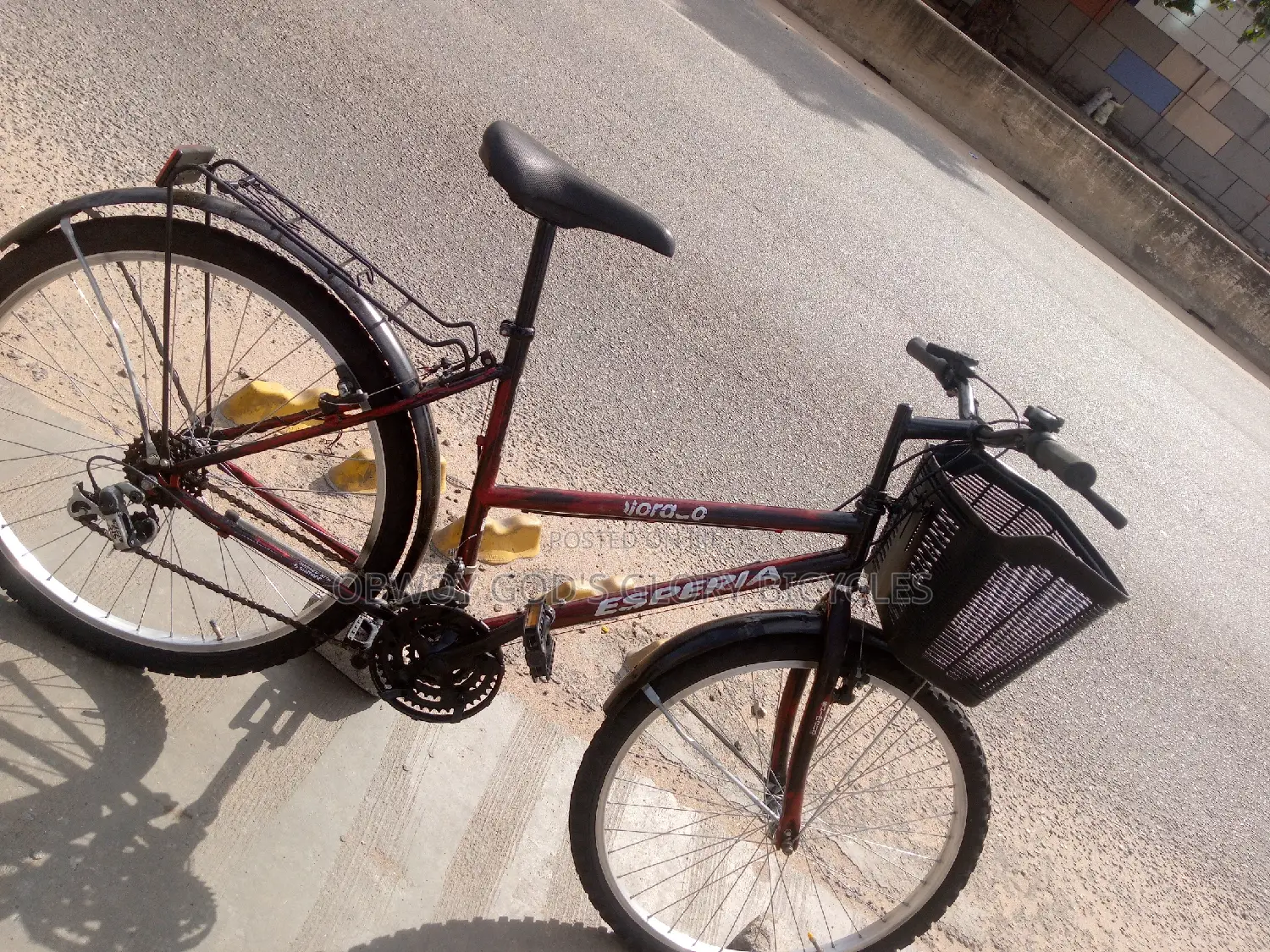 Normal Ladies Bike