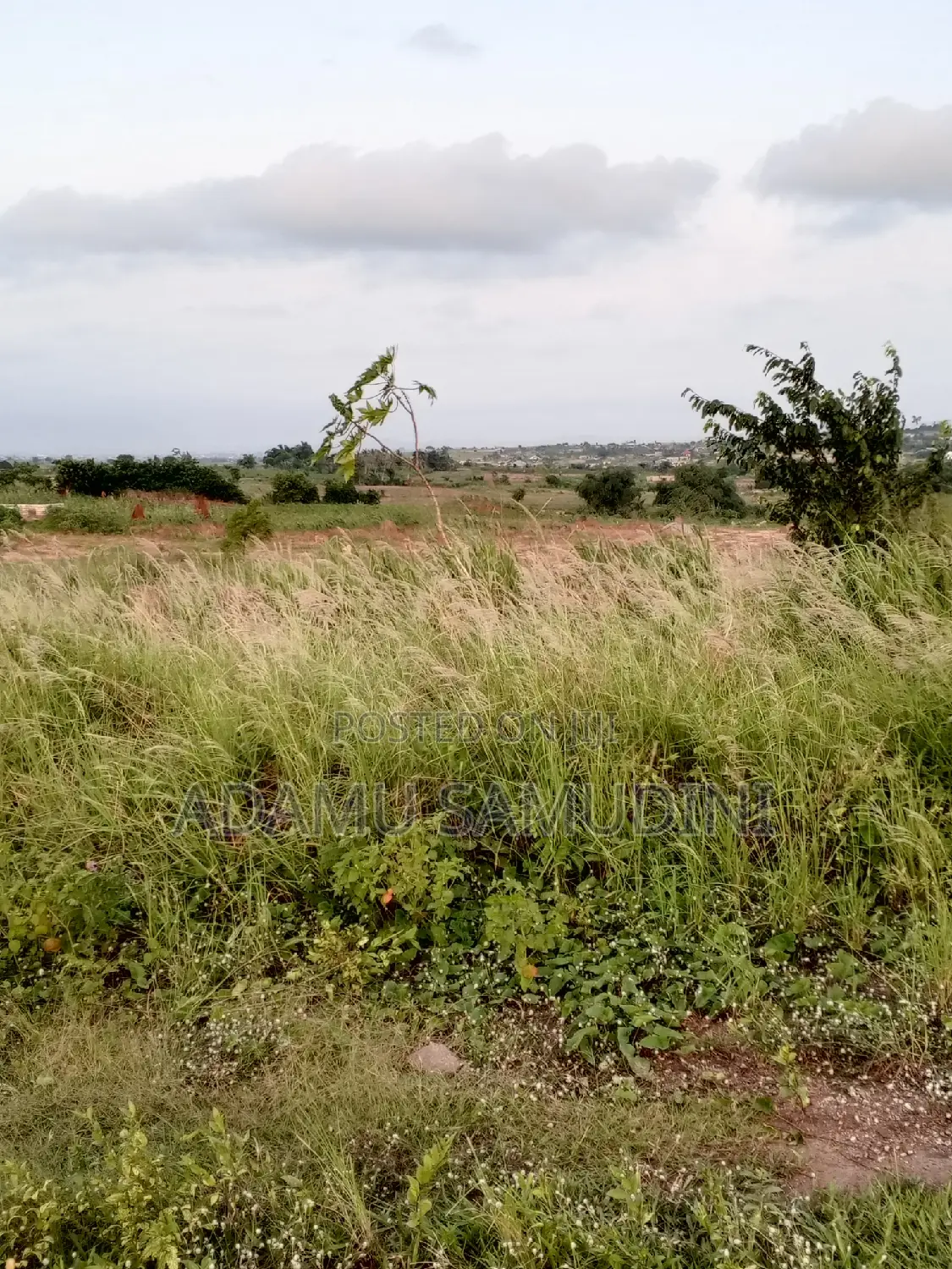 Land for Sale (Agbazo)