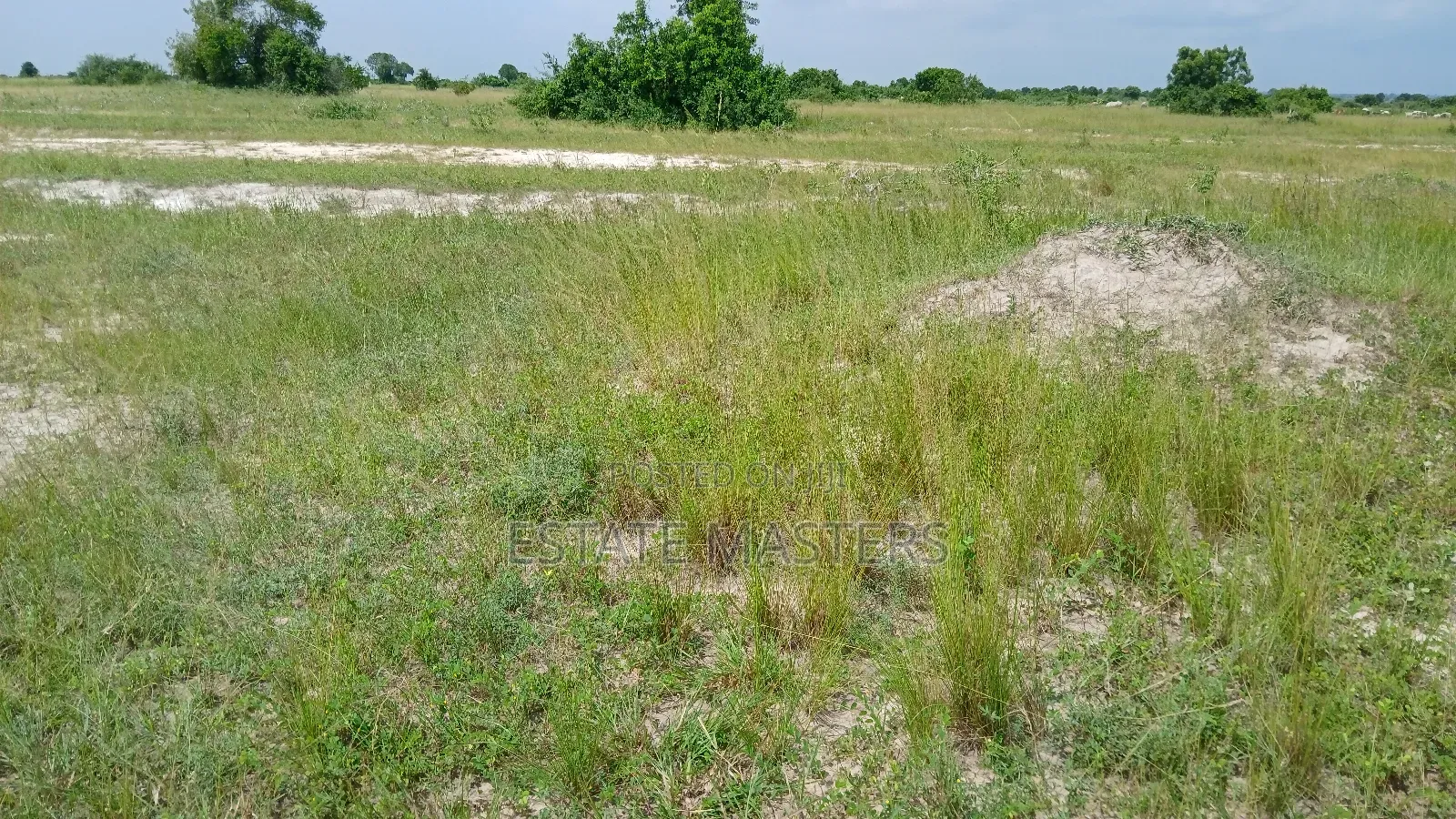 Buy Land, and Build Your Dream Home