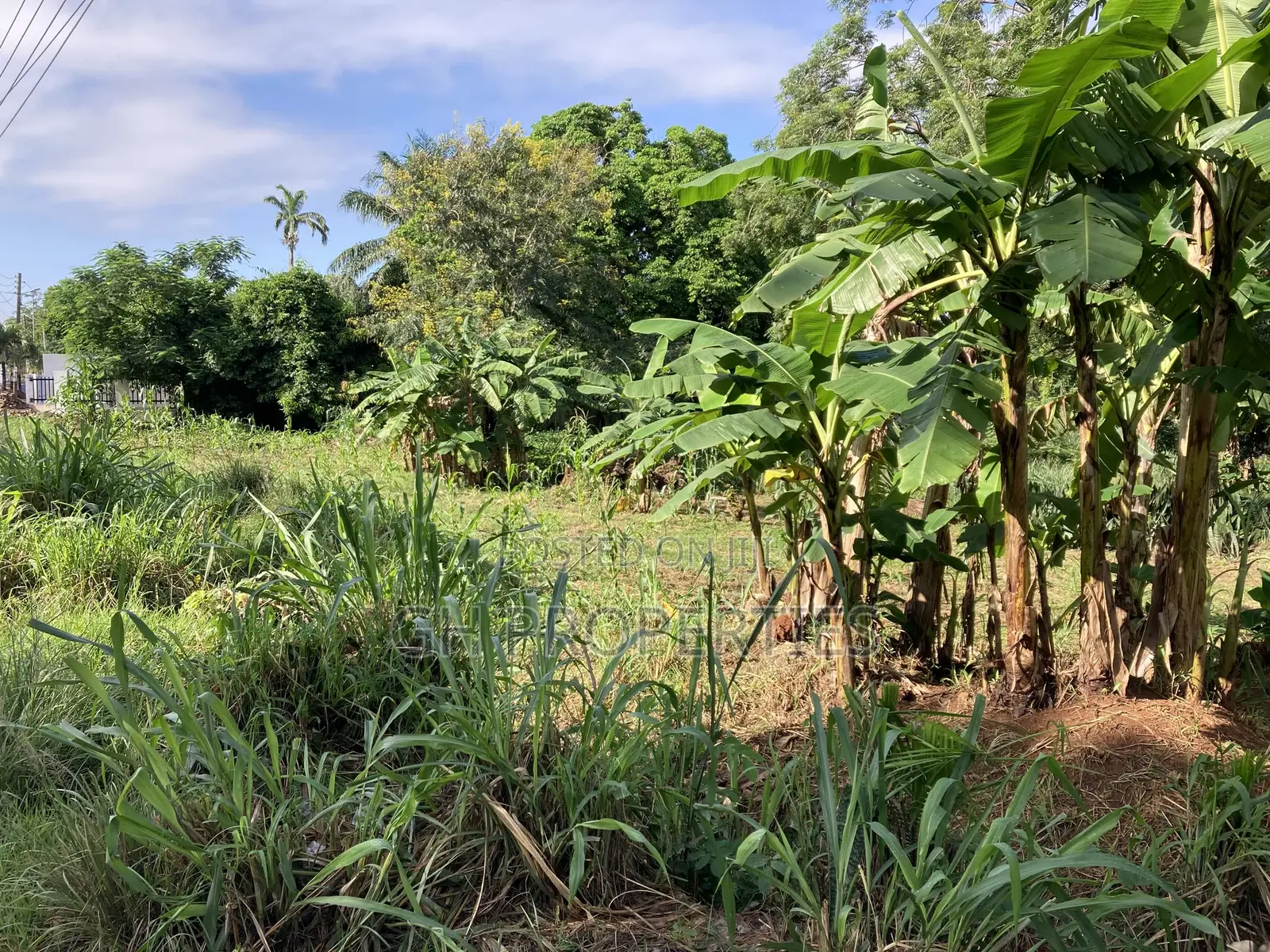 One Acre Plot for Sale at Ridge Opposite Golden Bean Hotel.