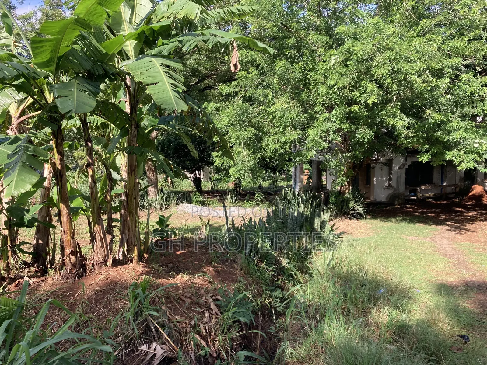 One Acre Plot for Sale at Ridge Opposite Golden Bean Hotel.