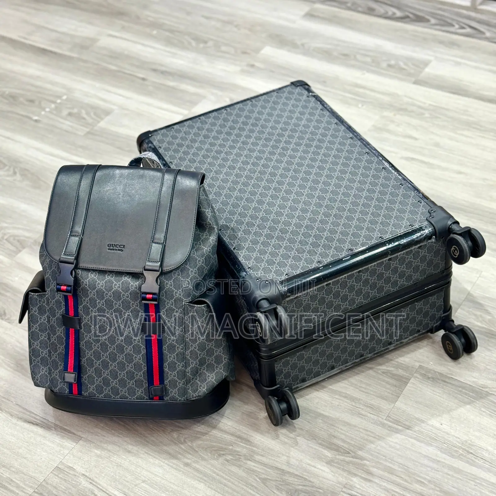 Luxury Travel and Backpack