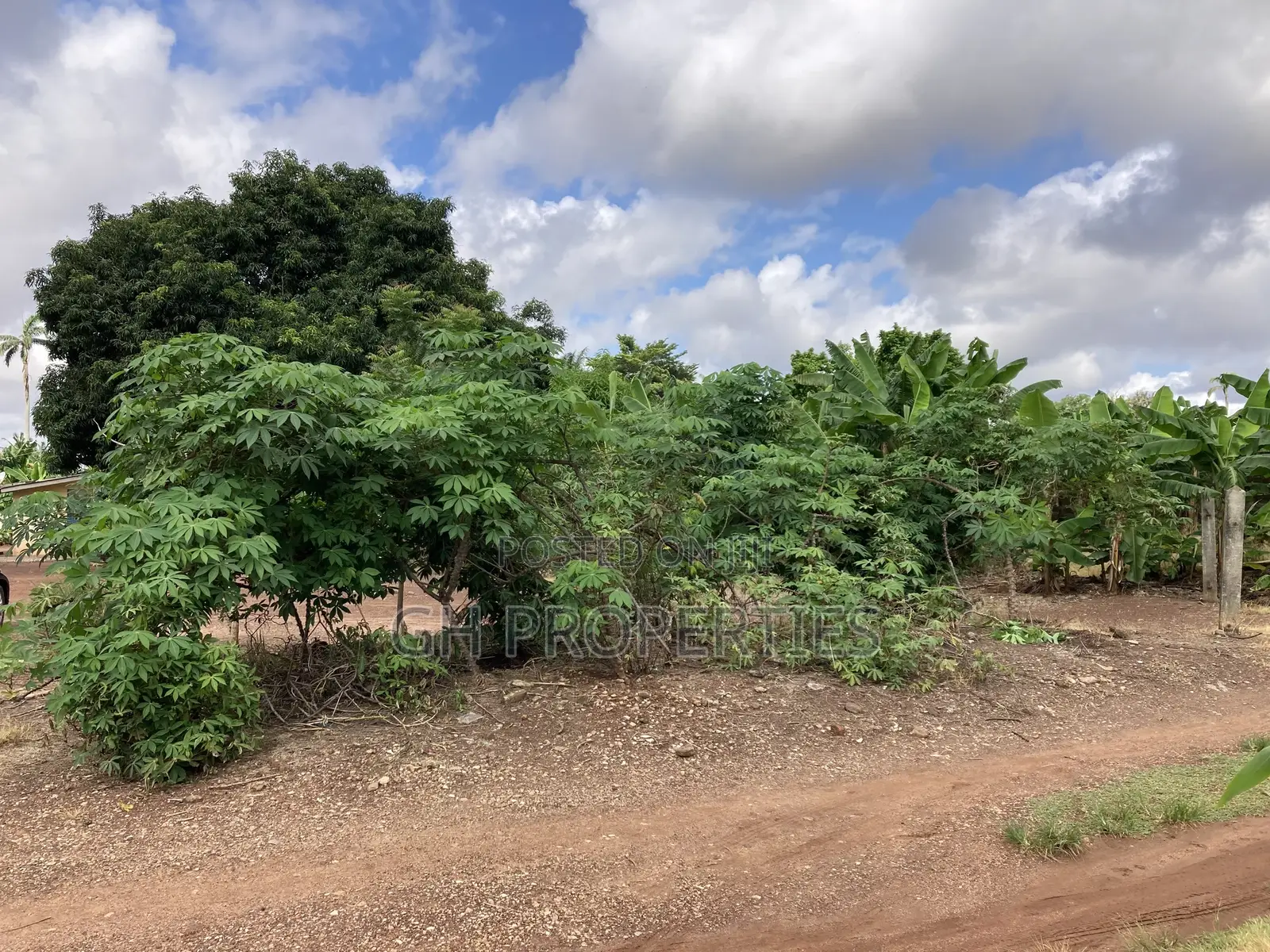 One Plot for Sale at Danyame Opposite Golden Tulip Hotel.