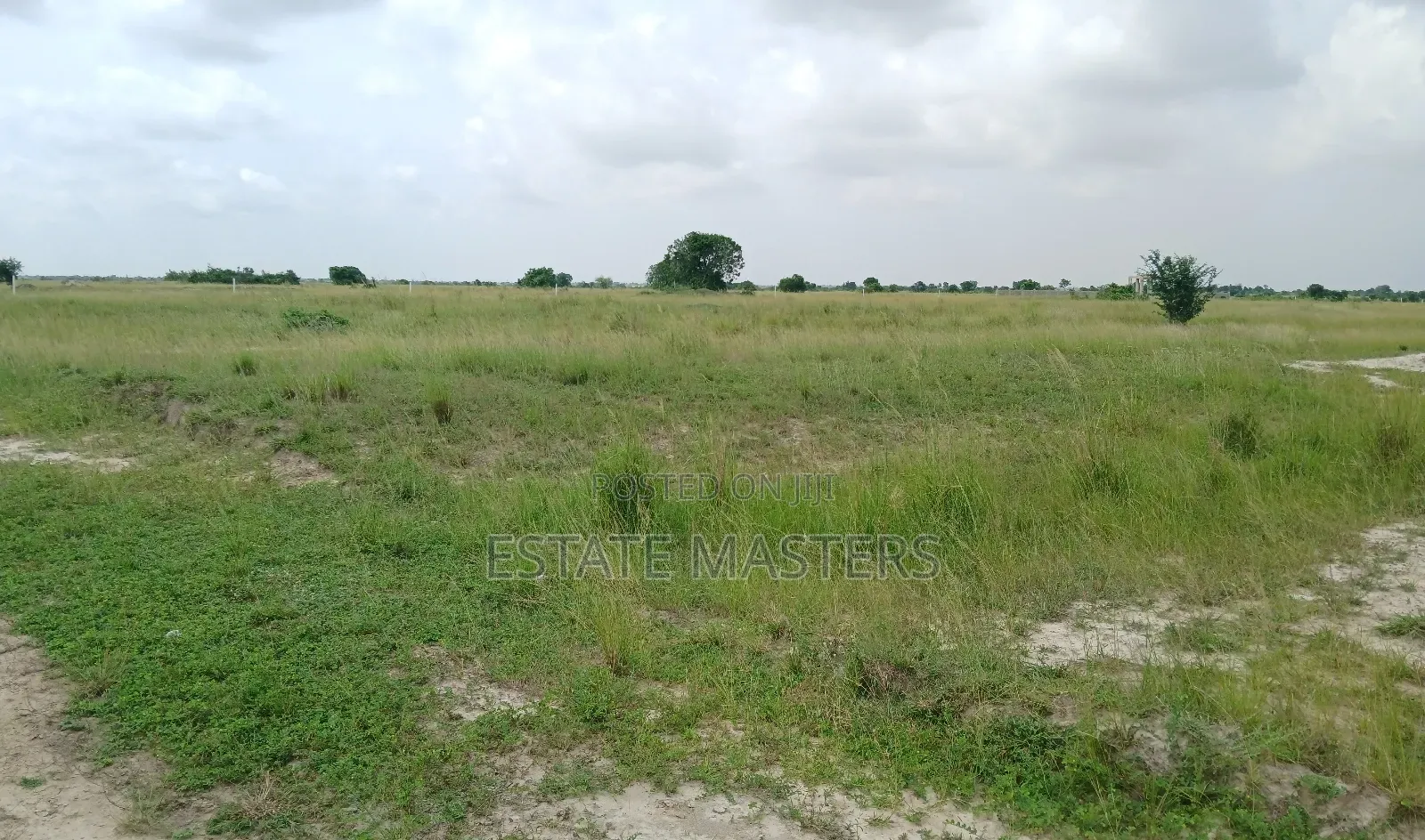 Affordable Lands Up for Sale.